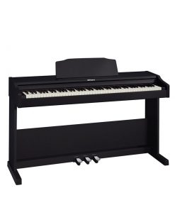 Roland-rp-102