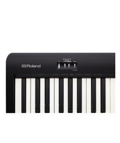Roland-fp-10