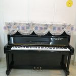 Đàn Piano Apollo