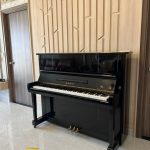 Đàn Piano Kawai K20