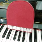 Bao tay lau đàn piano