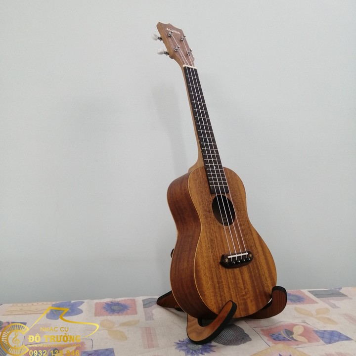 Chan-De-Dan-Ukulele (5)
