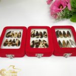 Bộ Móng Đàn Cổ Tranh Guzheng