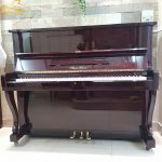 Đàn Piano Cơ RosenKranz RK20